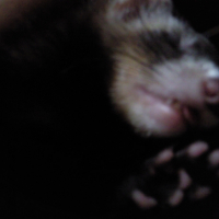 Photo #224325 de Georges