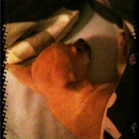 Photo #224387 de Miel pops