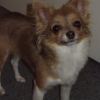 DSC00159