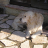 Onix_davanti_a_casa