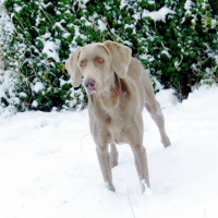 Photo #224581 de Dorah