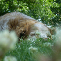 Photo #224590 de Lady