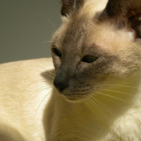 Photo #224607 de Vanny
