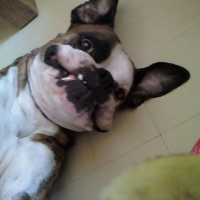 Photo #224670 de Vrenzo