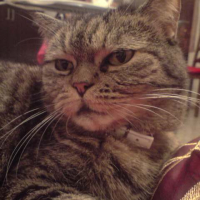 Photo #224716 de Nini