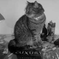 Photo #224721 de Nini