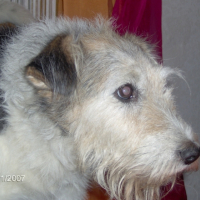 Photo #224763 de King