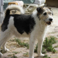 Photo #224786 de King
