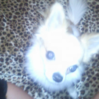 Photo #224787 de Baby