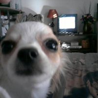 Photo #224789 de Baby