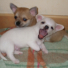 DSCF4065.JPG