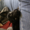 Photo0011