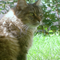 Photo #224840 de Mouchka