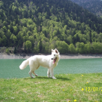 Photo #224914 de Cooper