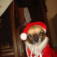 Photo #224931 de Espion