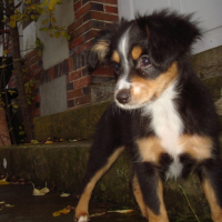 Photo #224956 de Emy love