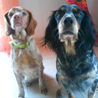 Photo #224962 de Nala