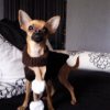 Photo0066