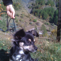 Photo #225050 de Lucky