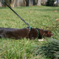 Photo #225117 de Ziyan