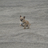 Sur la plage