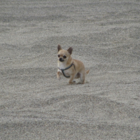 Sur la plage