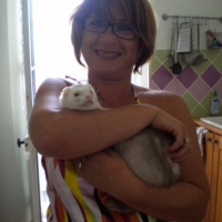 Photo #225208 de Boris