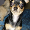 mon ptit rott qui rote tout le temp