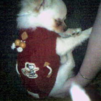 Photo #225326 de Crumble