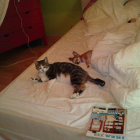 Photo #225334 de Elfie
