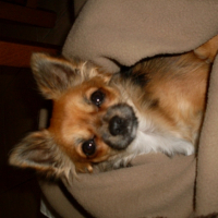 Photo #225397 de Maya