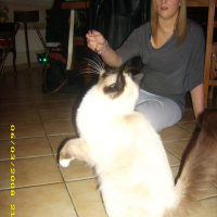 Photo #225515 de Calypso