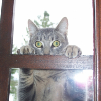 Photo #225598 de Mao