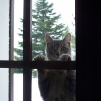 Photo #225600 de Mao