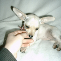 Photo #225676 de Emmie