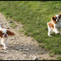 Photo #225762 de Easter