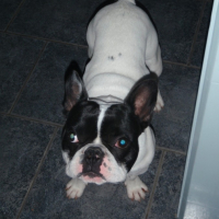 Photo #225848 de Carambar