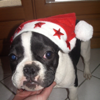 petit lutin!