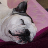 la sieste