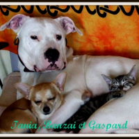 Photo #225900 de Tania