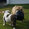 Photo_842
