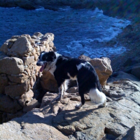Photo #225952 de Culombu