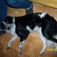 Photo #225953 de Culombu