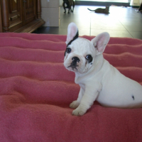 Photo #226000 de Cayser