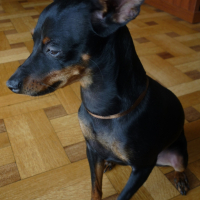 Photo #226056 de Lola