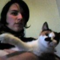 Photo #226070 de Whiskas