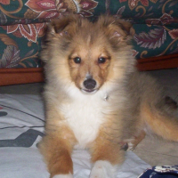 Photo #226169 de Usko