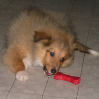 Photo #226171 de Usko