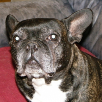 Photo #226226 de Rita