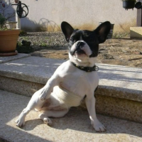 Photo #226253 de Evora
